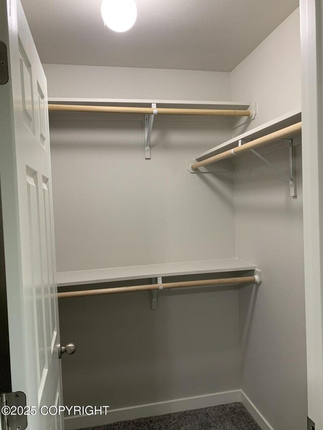 spacious closet featuring dark colored carpet