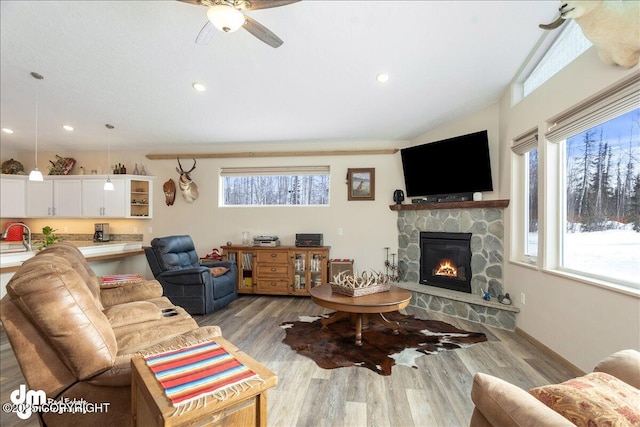 living room featuring a healthy amount of sunlight, a fireplace, baseboards, and wood finished floors