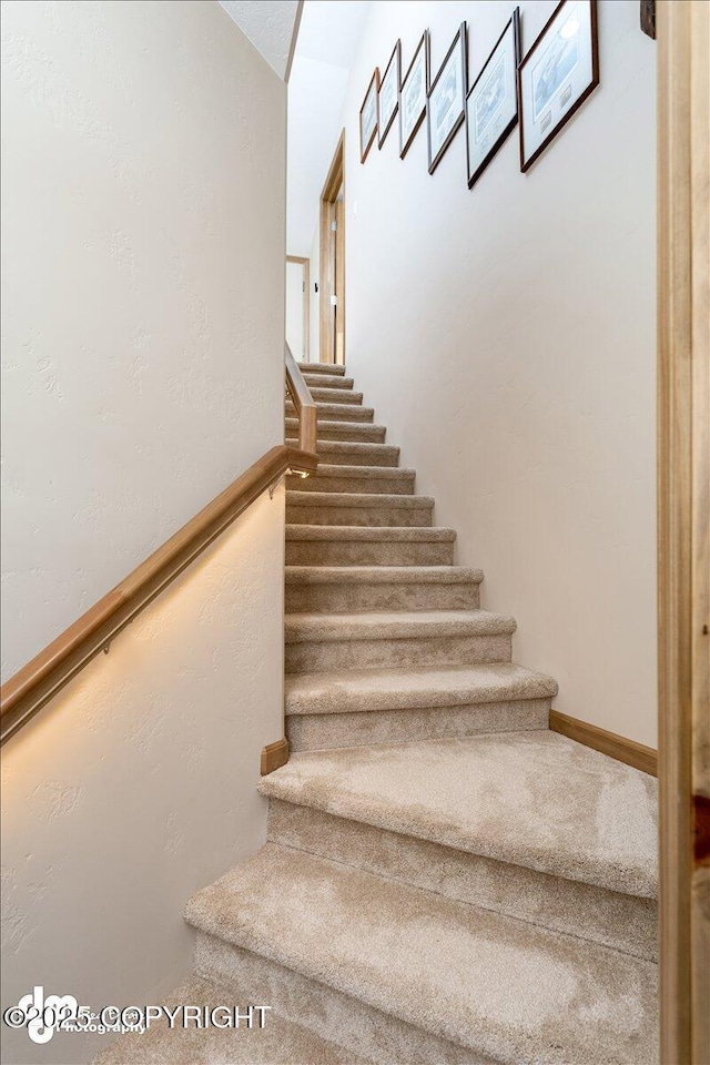 staircase with carpet floors