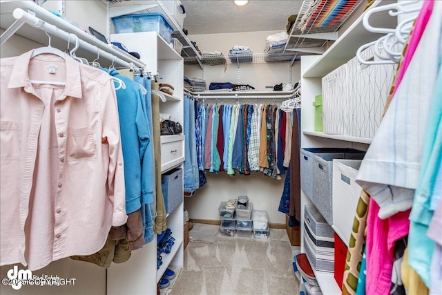 spacious closet featuring carpet