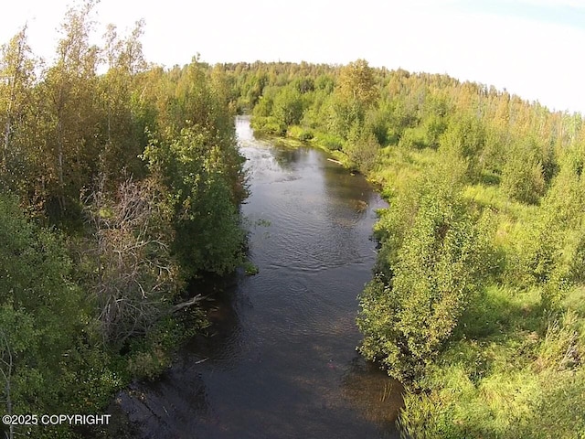 birds eye view of property with a wooded view