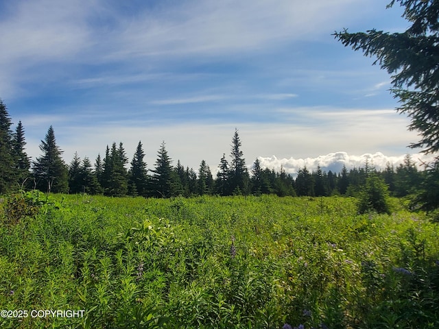 17626 Chefornak St, Ninilchik, AK 99639
