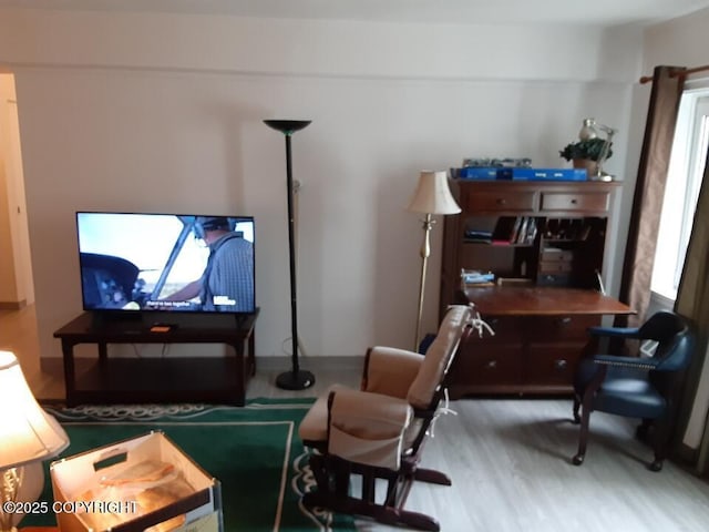 living area featuring wood finished floors