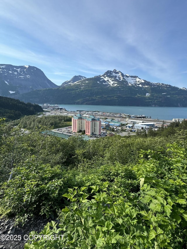 property view of mountains featuring a water view