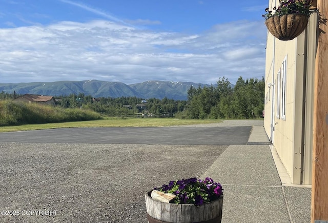 3151 E Cottle Loop, Wasilla, AK 99654 - mountain view