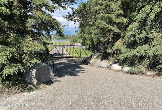 3151 E Cottle Loop, Wasilla, AK 99654 - view of gate