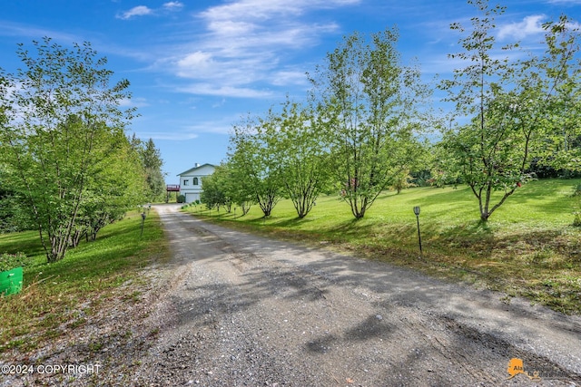 view of road with driveway