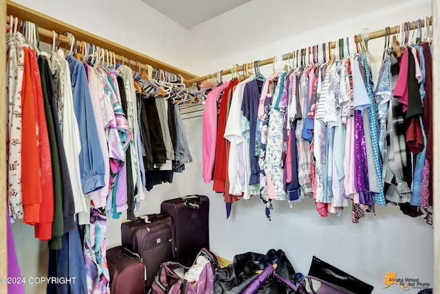 view of spacious closet