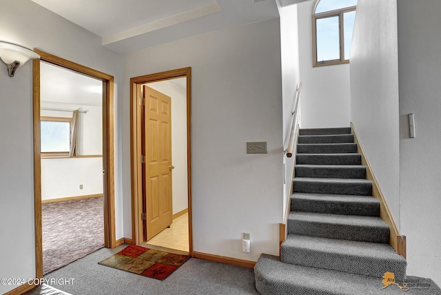 stairway with carpet floors and baseboards