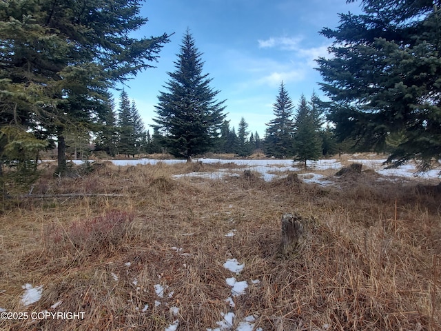 17528 Chefornak St, Ninilchik AK, 99639 land for sale