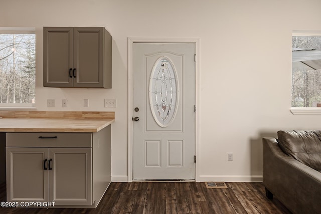 entrance foyer with baseboards, visible vents, and dark wood finished floors