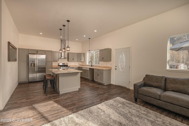 kitchen with open floor plan, stainless steel appliances, dark wood finished floors, and gray cabinetry