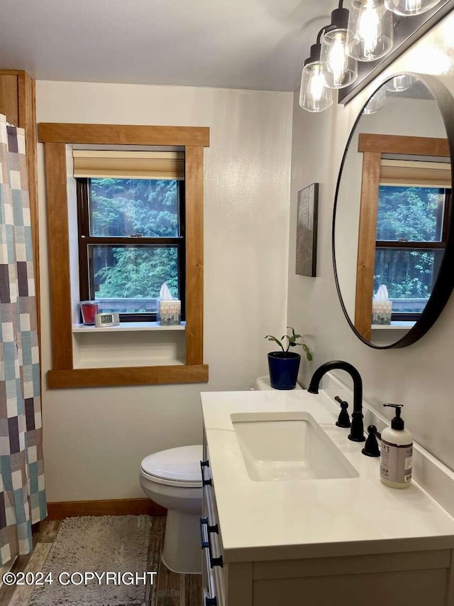 full bath featuring toilet, vanity, and baseboards