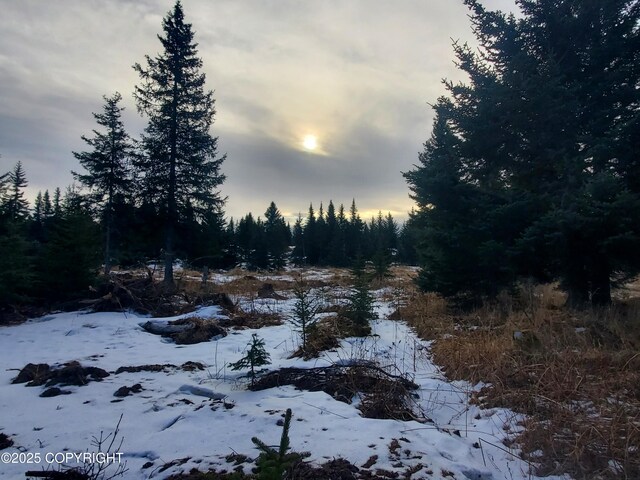 17502 Chefornak St, Ninilchik, AK 99639