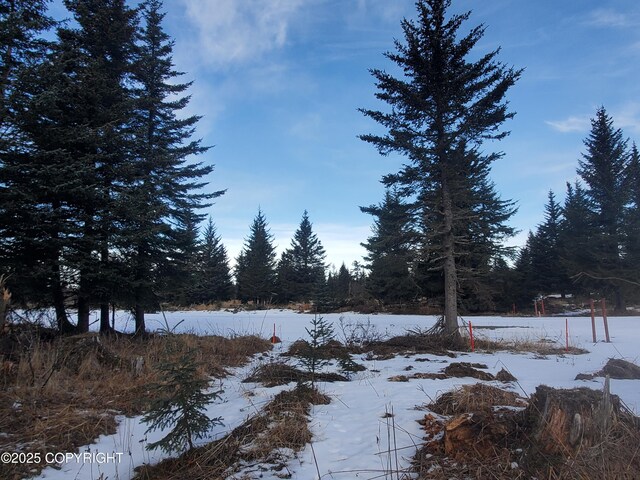 17502 Chefornak St, Ninilchik, AK 99639