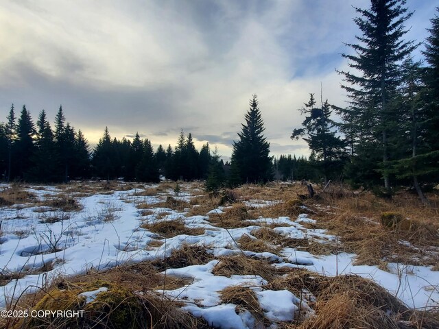 17502 Chefornak St, Ninilchik, AK 99639