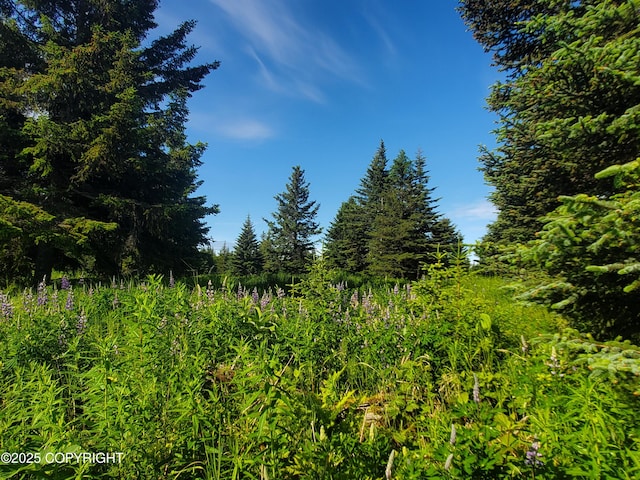 17502 Chefornak St, Ninilchik, AK 99639