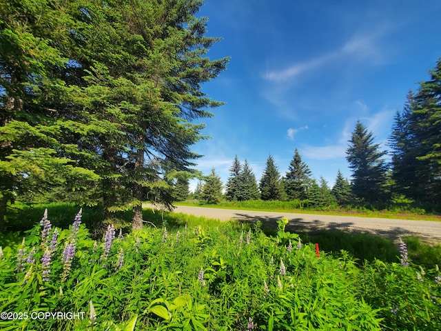 17502 Chefornak St, Ninilchik, AK 99639