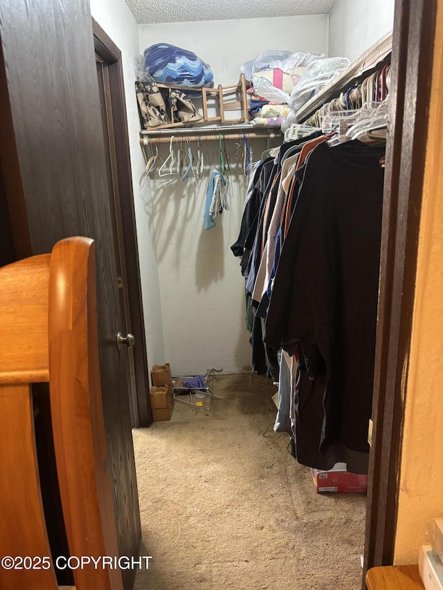 walk in closet with carpet flooring