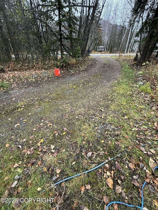 view of dirt / gravel road with a wooded view