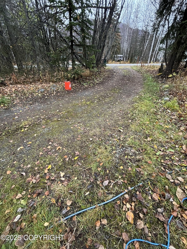 view of dirt / gravel road with a forest view