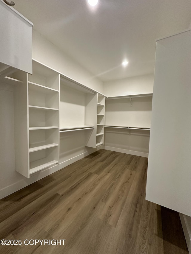 spacious closet with dark wood-style floors