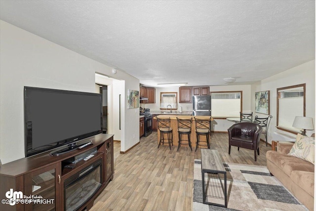 living room featuring light wood-style flooring and a textured ceiling