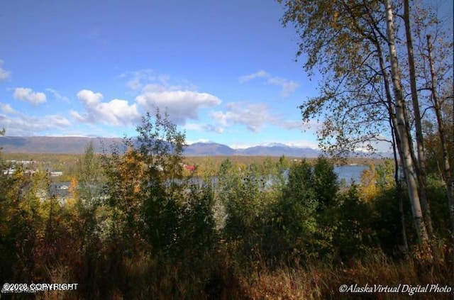 Listing photo 2 for 900 E Susitna Ave, Wasilla AK 99654