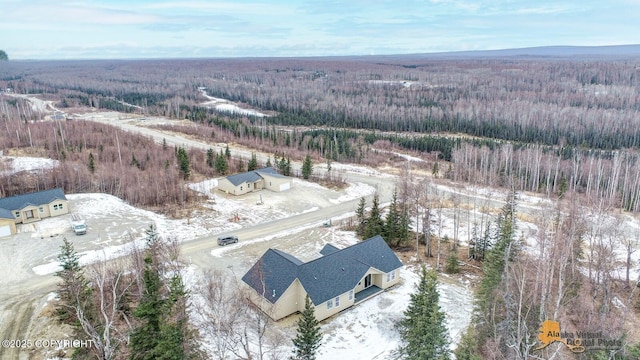 bird's eye view with a forest view