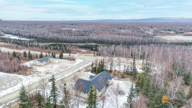 bird's eye view with a forest view