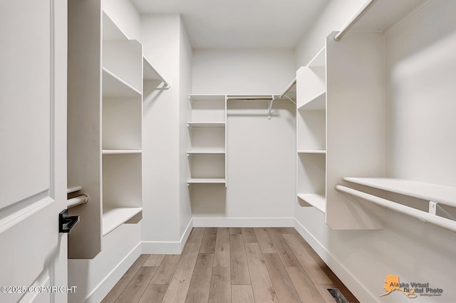 walk in closet with wood finished floors