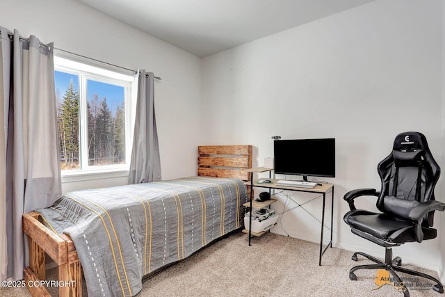 bedroom featuring carpet