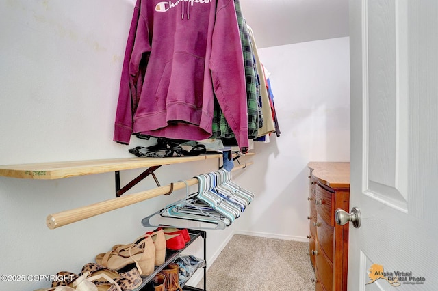 walk in closet with carpet flooring