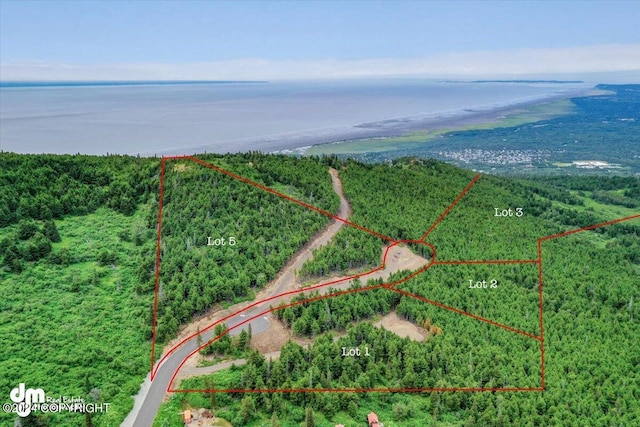 L3 Paine Cir, Anchorage, AK 99516 - bird's eye view with a water view and a forest view