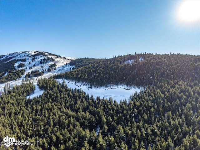 L3 Paine Cir, Anchorage, AK 99516 - property view of water with a forest view and a mountain view