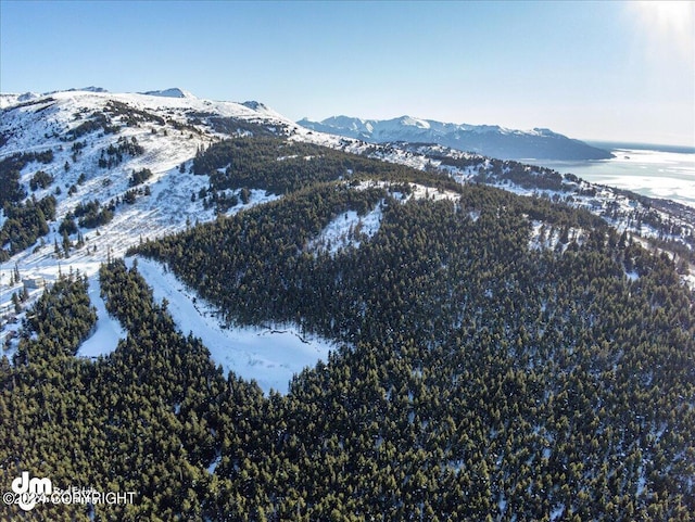 L3 Paine Cir, Anchorage, AK 99516 - property view of mountains featuring a water view