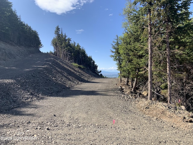 L3 Paine Cir, Anchorage, AK 99516 - view of road