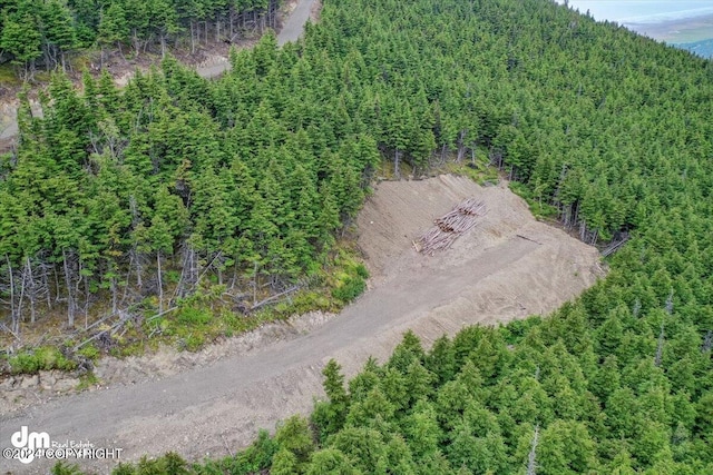 L3 Paine Cir, Anchorage, AK 99516 - aerial view with a view of trees