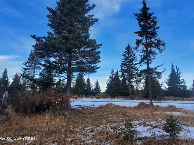 17584 Chefornak St, Ninilchik AK, 99639 land for sale