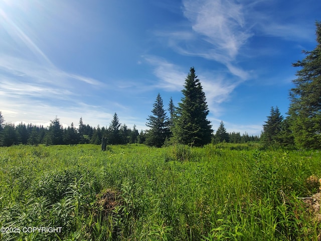 17584 Chefornak St, Ninilchik, AK 99639 - photo 1