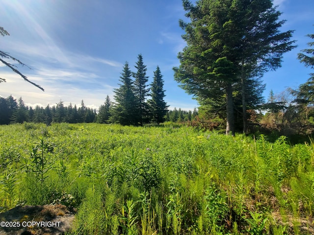17584 Chefornak St, Ninilchik, AK 99639 - photo 2