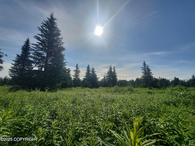 17584 Chefornak St, Ninilchik, AK 99639 - photo 3