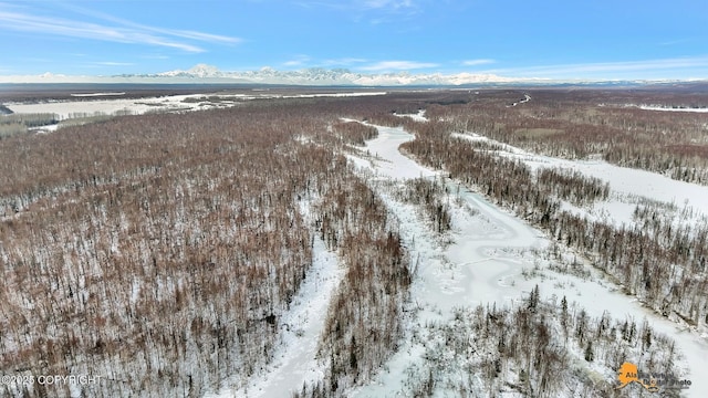 Listing photo 2 for C006 No Rd, Talkeetna AK 99676