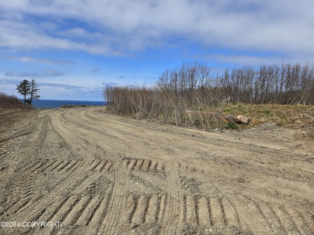 L7 Danver, Anchor Point AK, 99556 land for sale