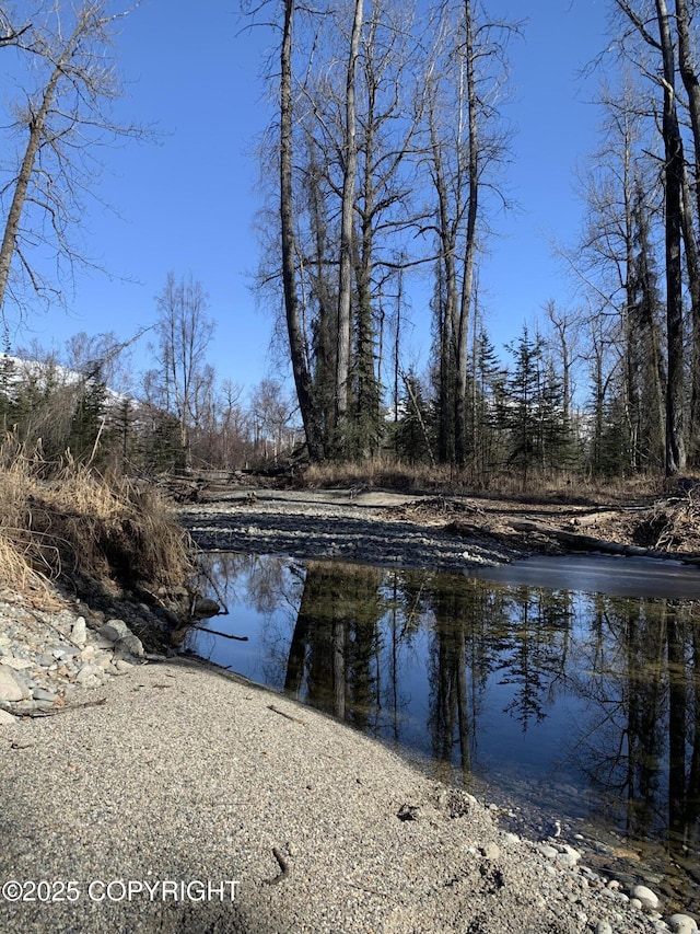 8126 N Wasilla Fishhook Rd, Wasilla, AK 99654 - photo 11