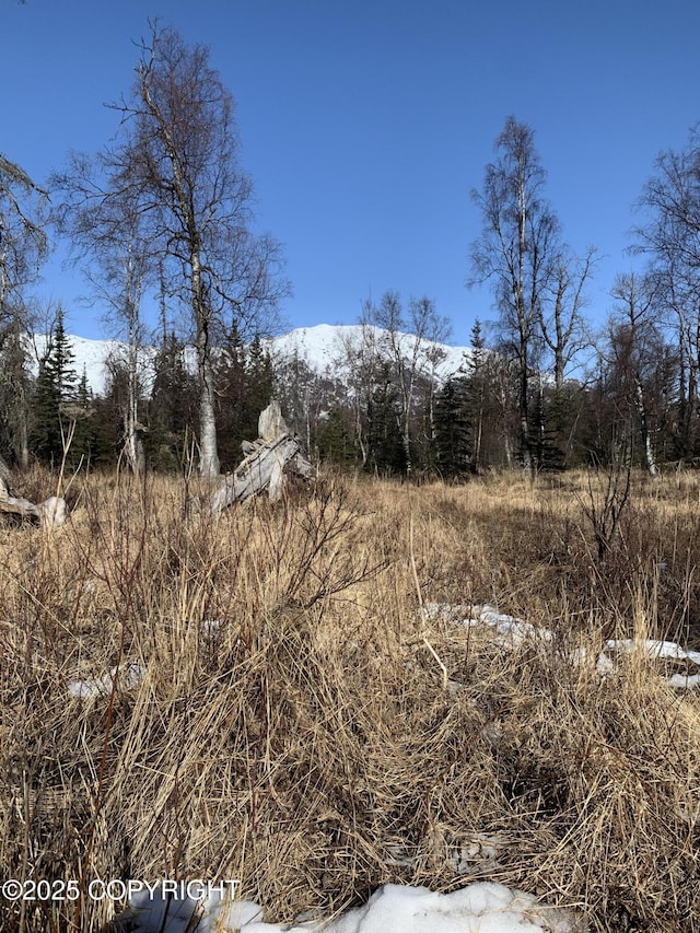 8126 N Wasilla Fishhook Rd, Wasilla, AK 99654 - photo 14