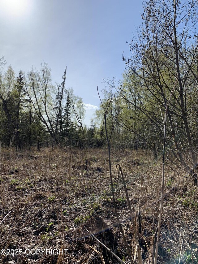 8126 N Wasilla Fishhook Rd, Wasilla, AK 99654 - photo 15