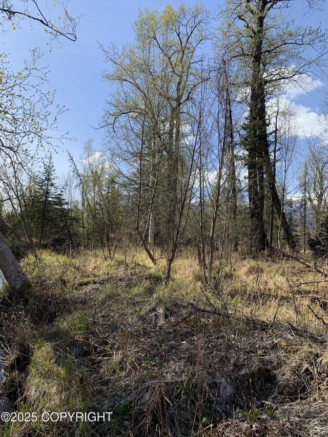 8126 N Wasilla Fishhook Rd, Wasilla, AK 99654 - photo 18
