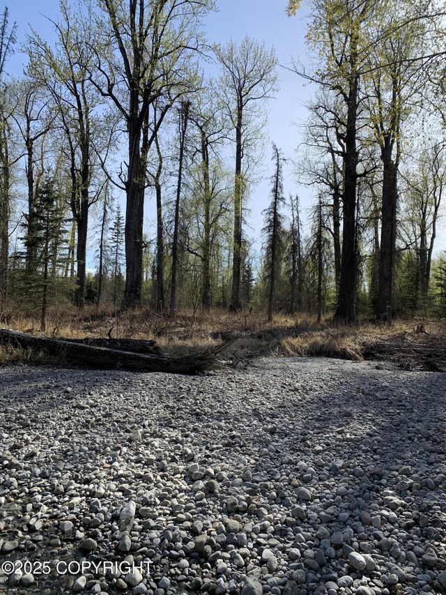 8126 N Wasilla Fishhook Rd, Wasilla, AK 99654 - photo 20
