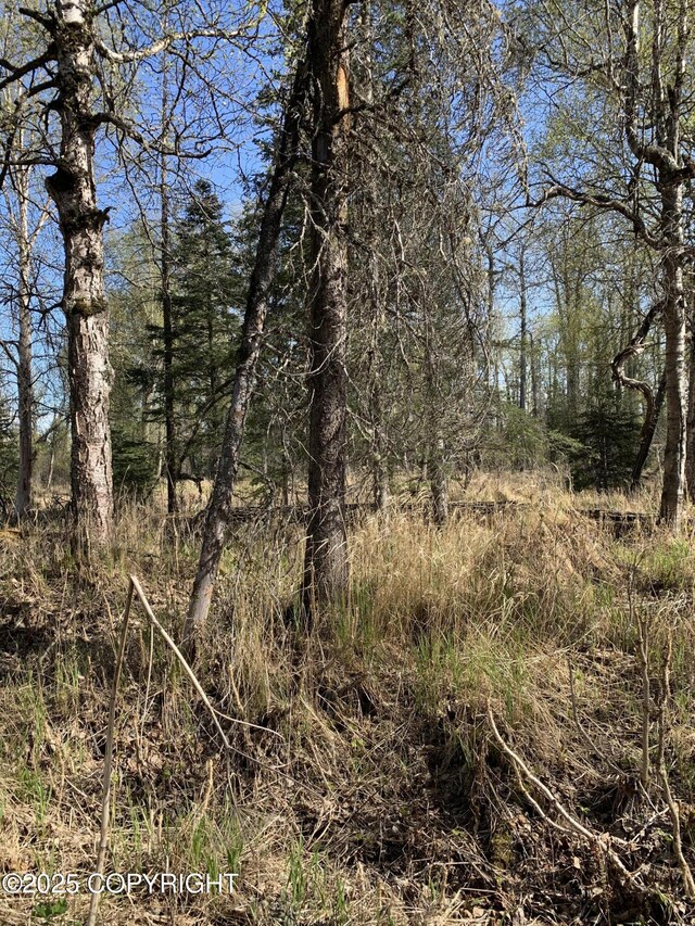 8126 N Wasilla Fishhook Rd, Wasilla, AK 99654 - photo 21